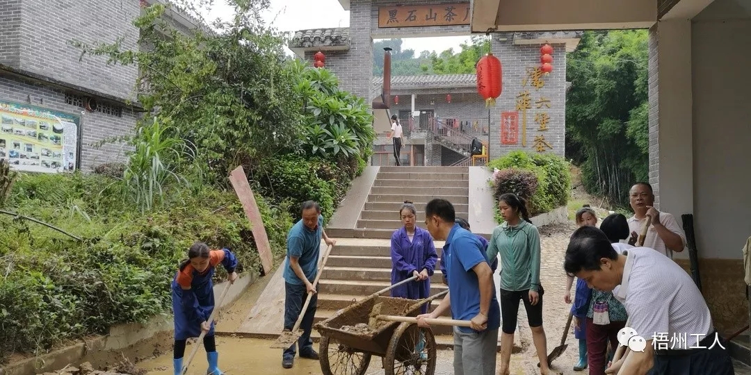 工會(huì)為六堡鎮(zhèn)茶農(nóng)災(zāi)后恢復(fù)生產(chǎn)注入活力