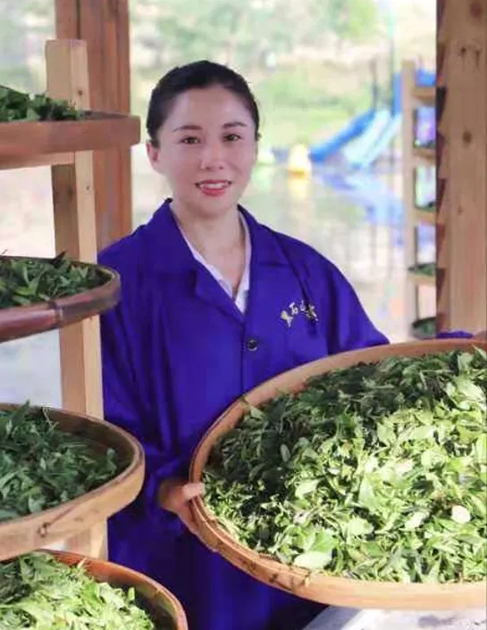 【梧州工匠】石濡菲：擇一茶，修一技，終一生