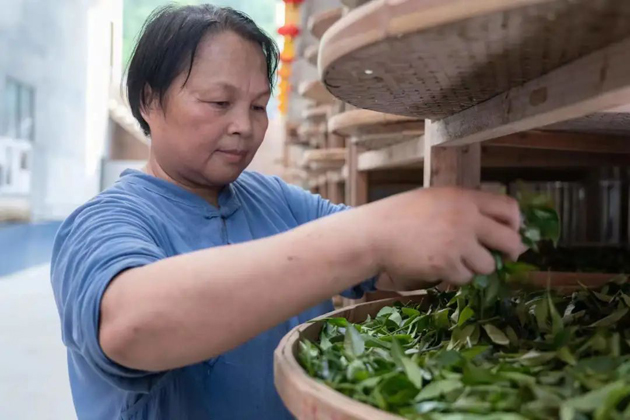 【楷模風(fēng)采】2022年廣西五一勞動(dòng)獎(jiǎng)?wù)芦@得者譚愛云