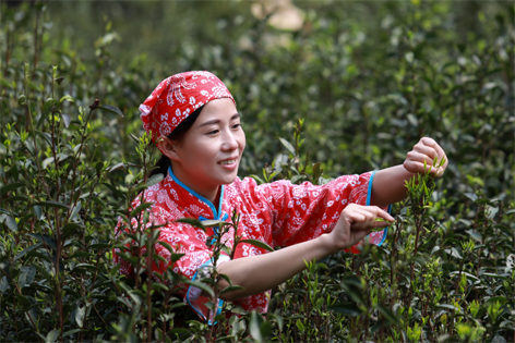 2022年“全國十佳農民”揭曉 全國勞模石濡菲上榜！