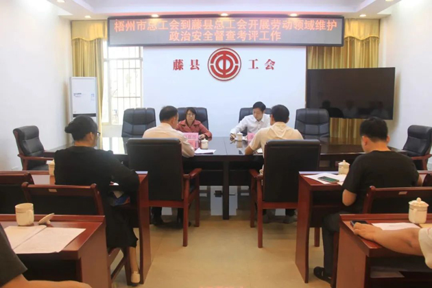 梧州市總工會領(lǐng)導(dǎo)到藤縣開展勞動領(lǐng)域維護(hù)政治安全督查考評工作