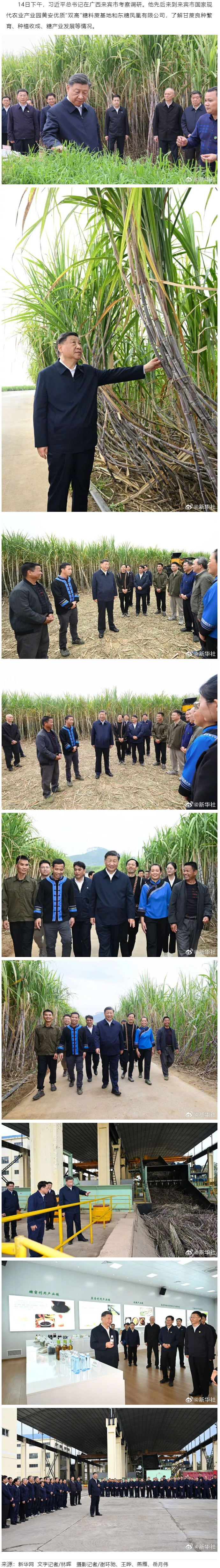 習(xí)近平在廣西來賓市考察調(diào)研.png