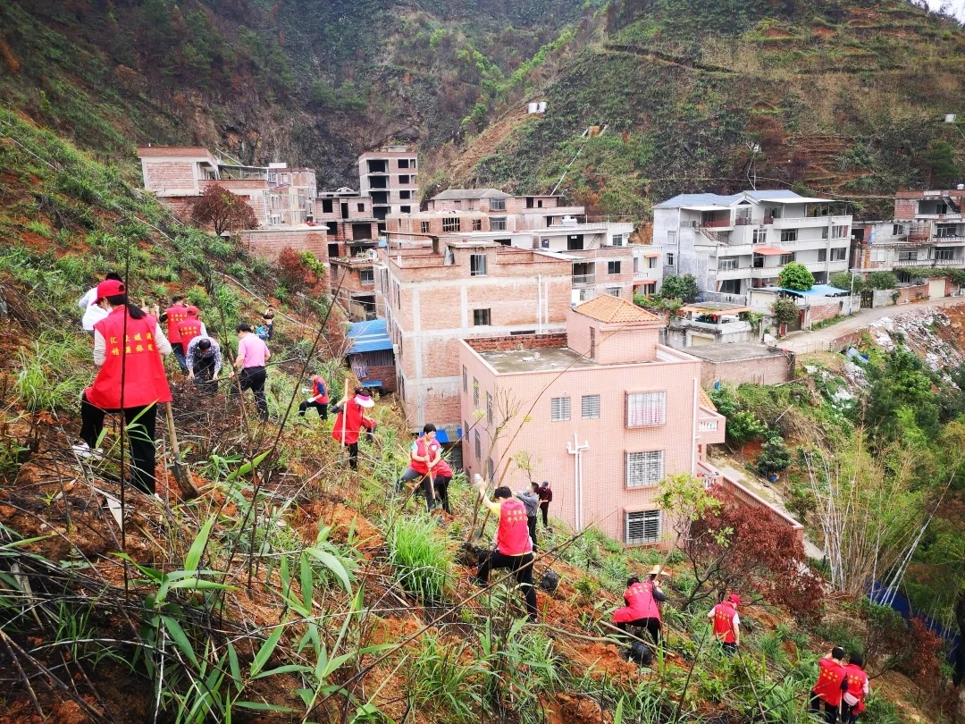 梧州市總工會開展2020年義務植樹活動