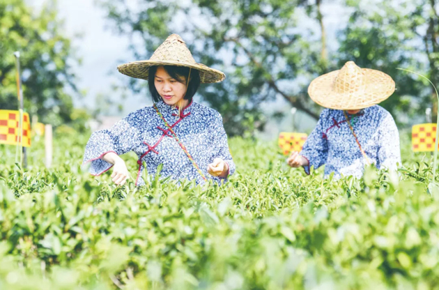 國家批復(fù)同意，梧州籌建！