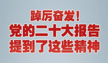 【黨的二十大】踔厲奮發(fā)！黨的二十大報告提到了這些精神
