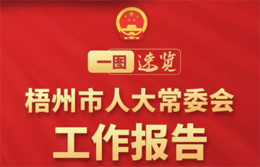 一圖速覽丨梧州市人大常委會工作報告