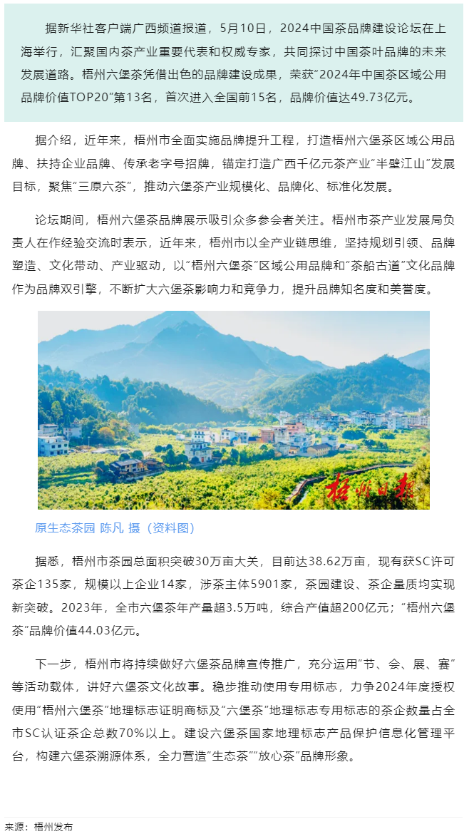 排名全國第13名！&ldquo;梧州六堡茶&rdquo;品牌價值實現(xiàn)新突破.png