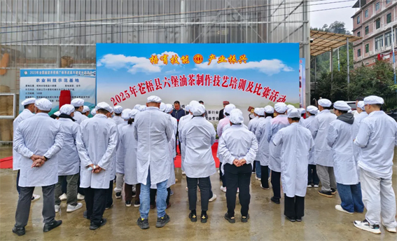 2025年蒼梧縣六堡油茶制作技藝培訓(xùn)及比賽活動(dòng)圓滿(mǎn)落幕！
