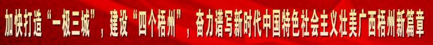 加快打造“一級(jí)三城市”，建設(shè)“四個(gè)梧州”，奮力譜寫(xiě)新時(shí)代中國(guó)特色社會(huì)主義壯美廣西梧州新篇章