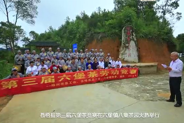 六堡茶競(jìng)賽視頻